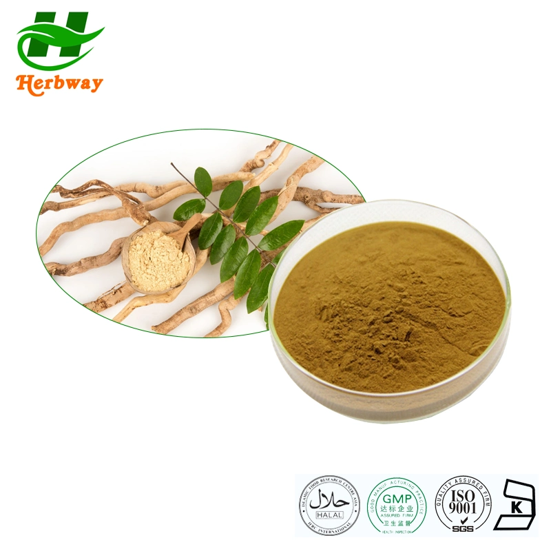 Herbway Free Sample Factory Direct Sale Natural Herb Plant Extract Powder Olea Europea L 20% 40% Oleuropein 10% 20% Hydroxytyrosol Olive Leaf Extract