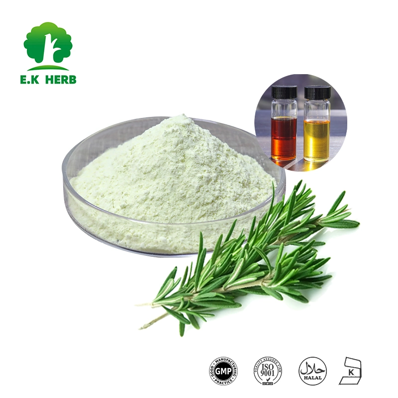 E. K Herb ISO Halal Kosher Certified Natural Antioxidants Carnosic Acid 5%~95% Fat Soluble CAS 3650-09-7 Rosmarinic Acid, Ursolic Acid Powder Rosemary Extract