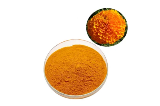 Pigmento naturale in polvere di xantofilla/luteina dall'estratto di fiori di calendula CAS 127-40-2